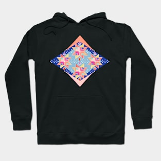 Energy Manifesting Hoodie